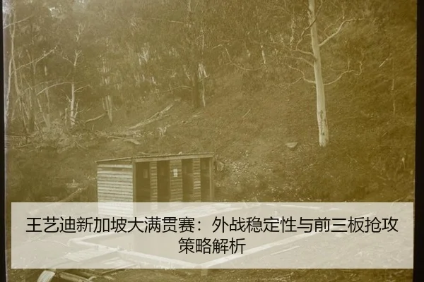 王艺迪新加坡大满贯赛：外战稳定性与前三板抢攻策略解析