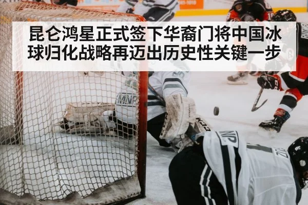 hockey goalie save